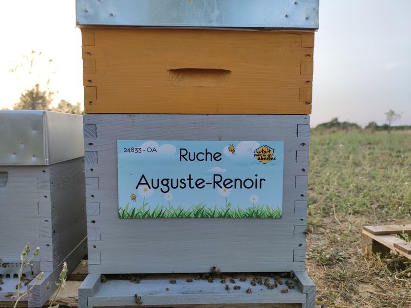 La ruche Auguste-Renoir