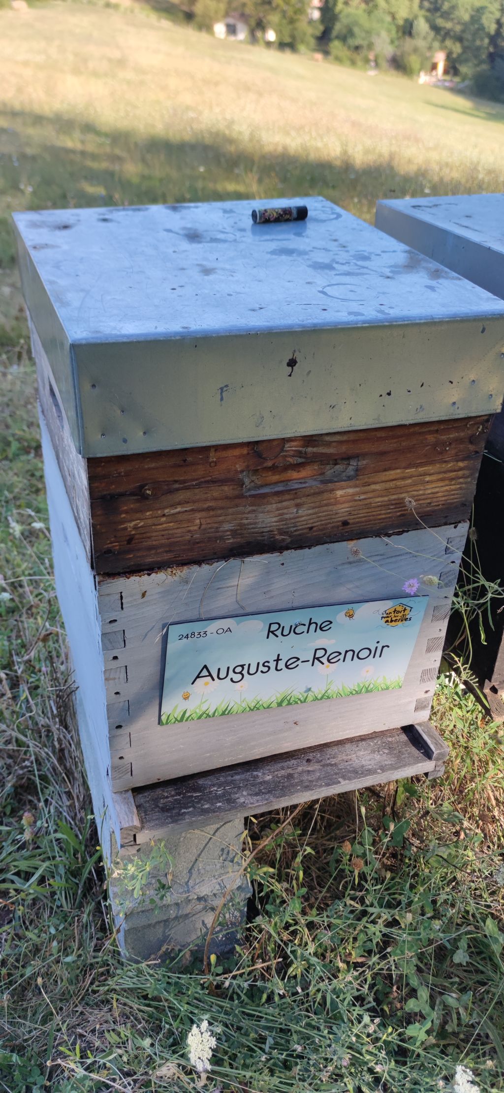 La ruche Auguste-Renoir