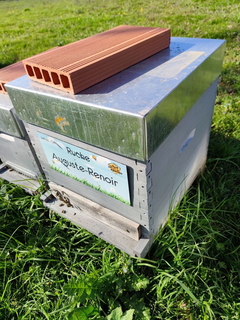 La ruche Auguste-Renoir