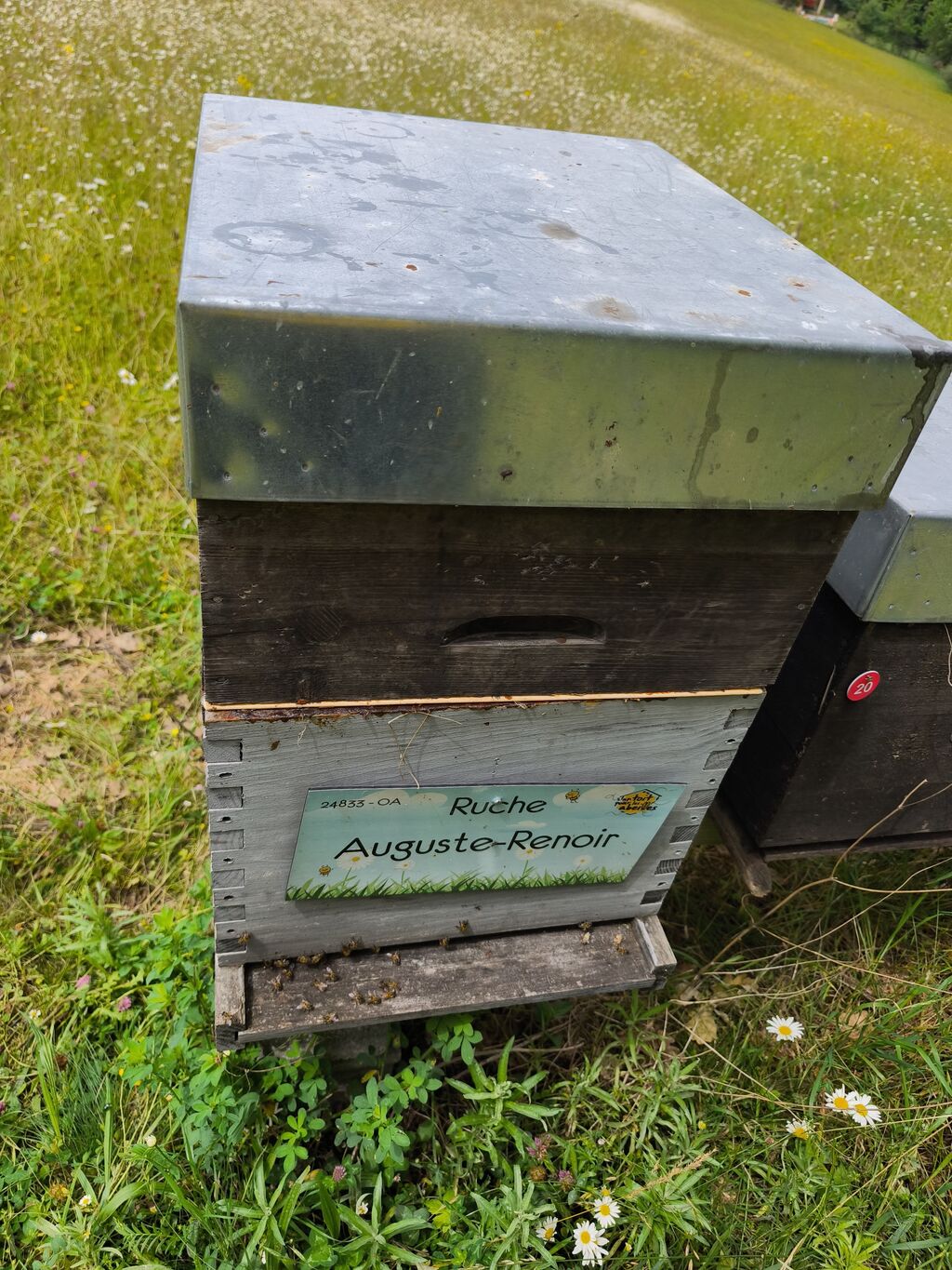 La ruche Auguste-Renoir