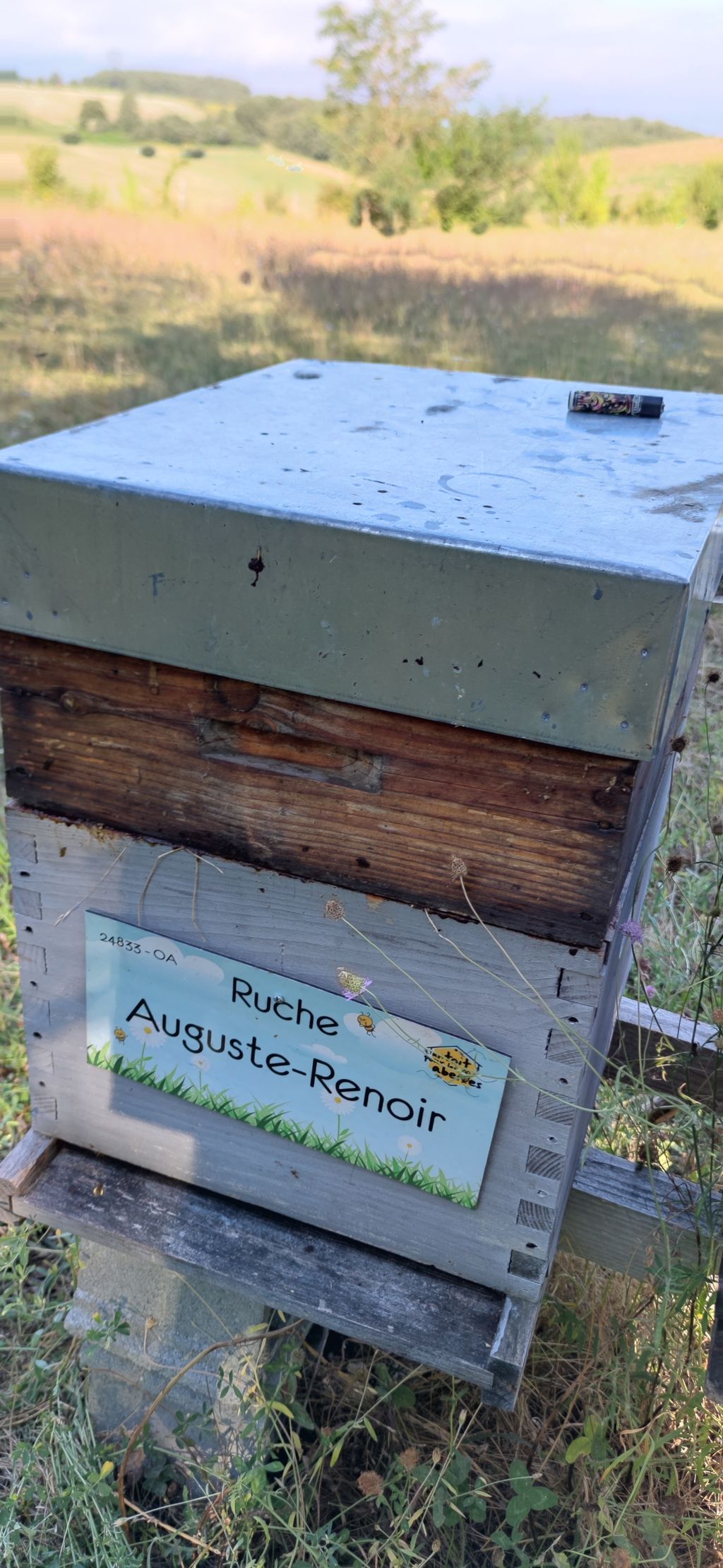 La ruche Auguste-Renoir