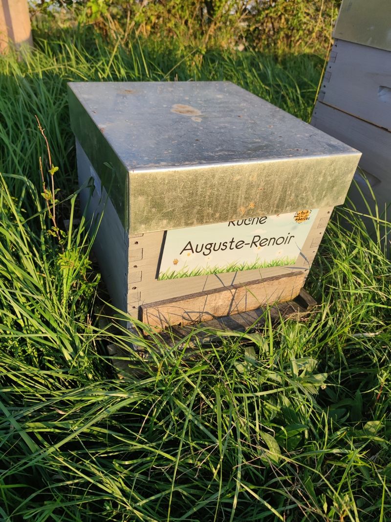 La ruche Auguste-Renoir