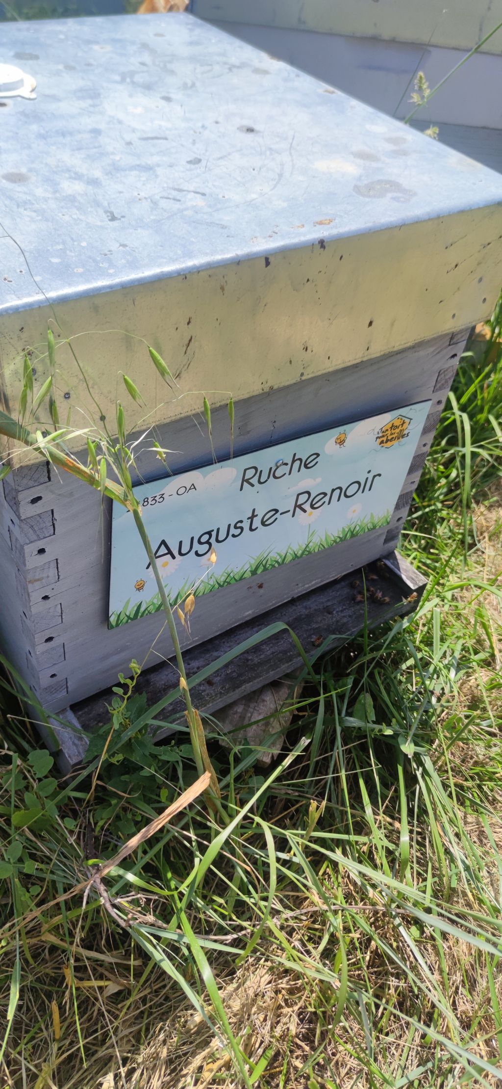 La ruche Auguste-Renoir