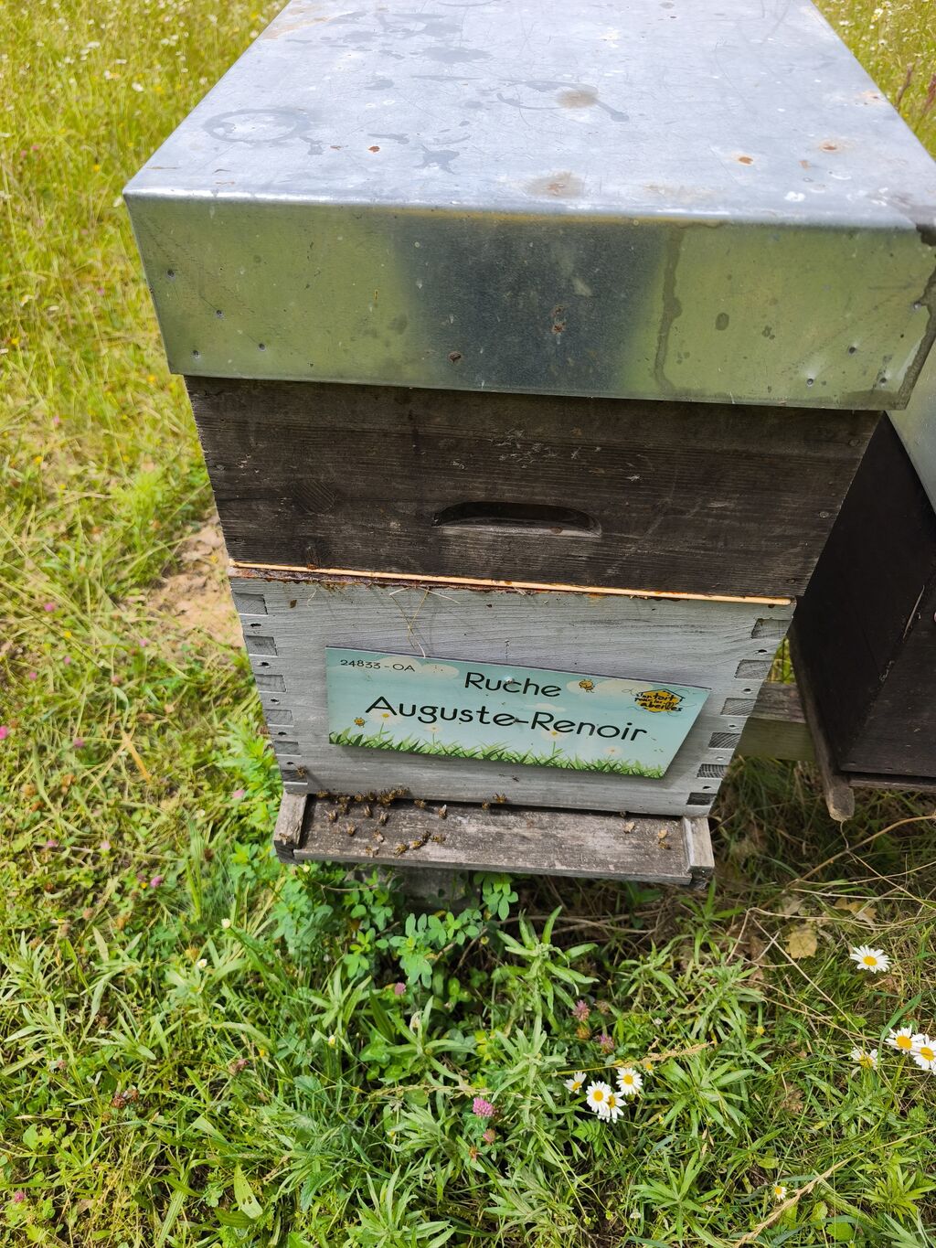 La ruche Auguste-Renoir