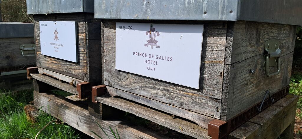 La ruche Hotel prince de galles