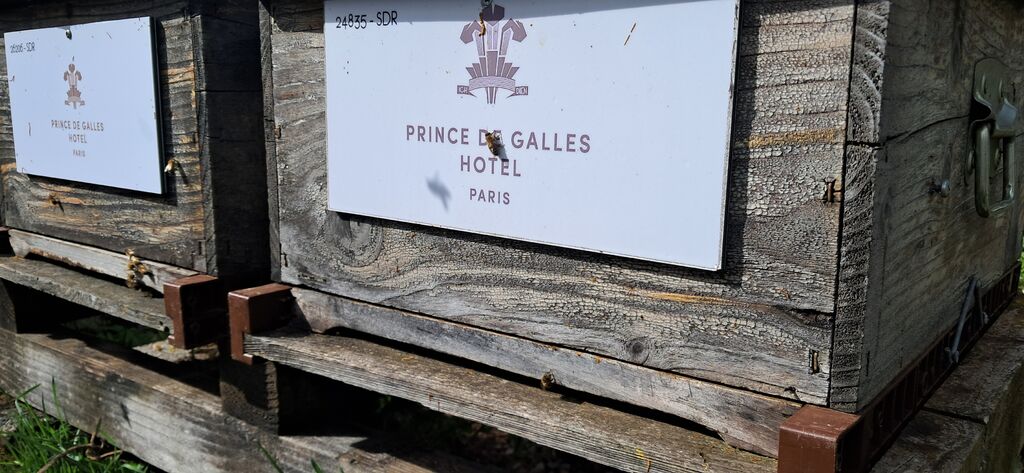 La ruche Hotel prince de galles