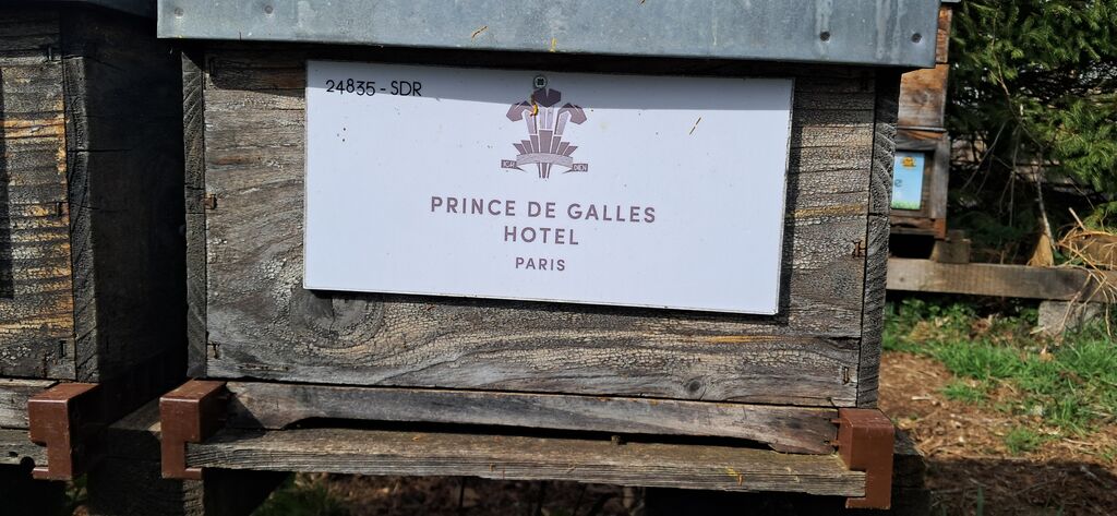 La ruche Hotel prince de galles