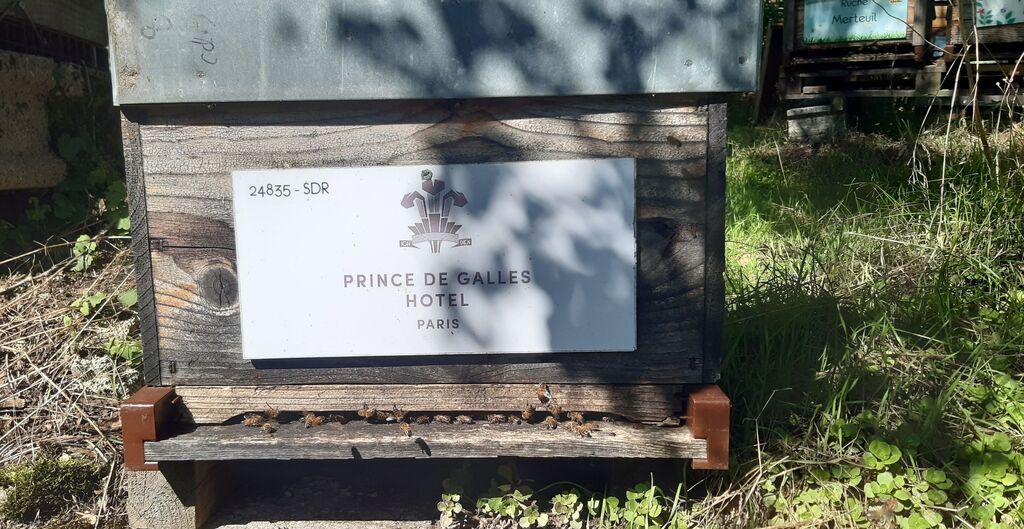 La ruche Hotel prince de galles