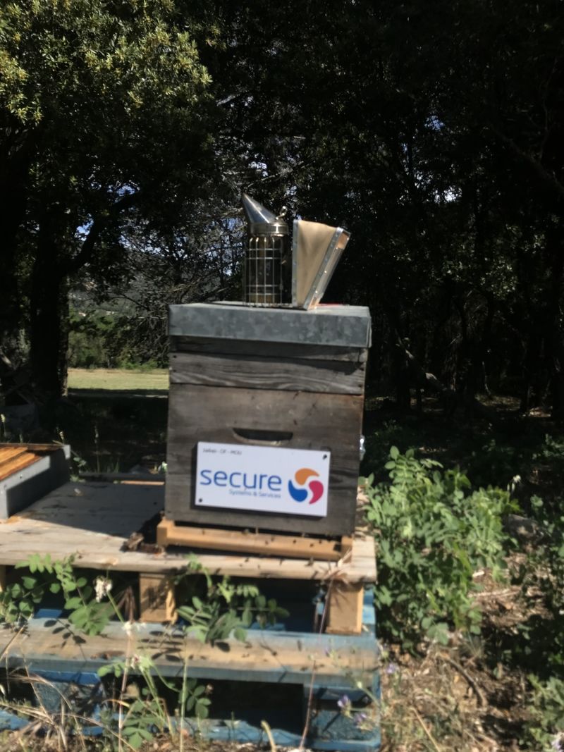 La ruche SECURE SYSTEMS & SERVICES