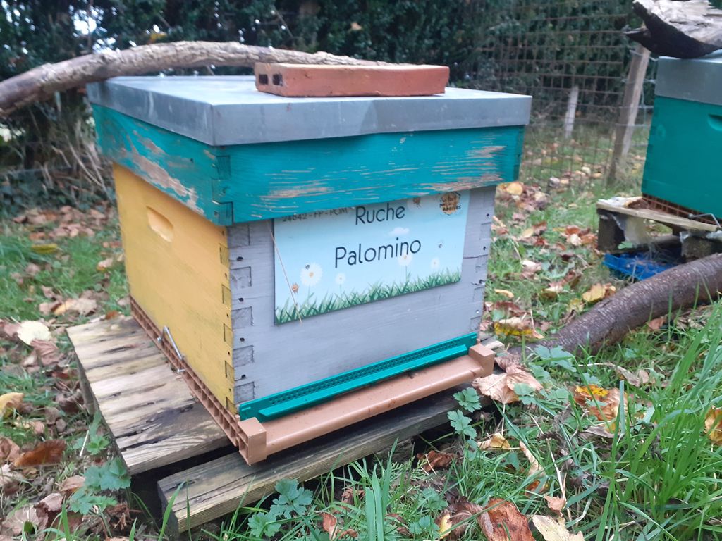 La ruche Palomino