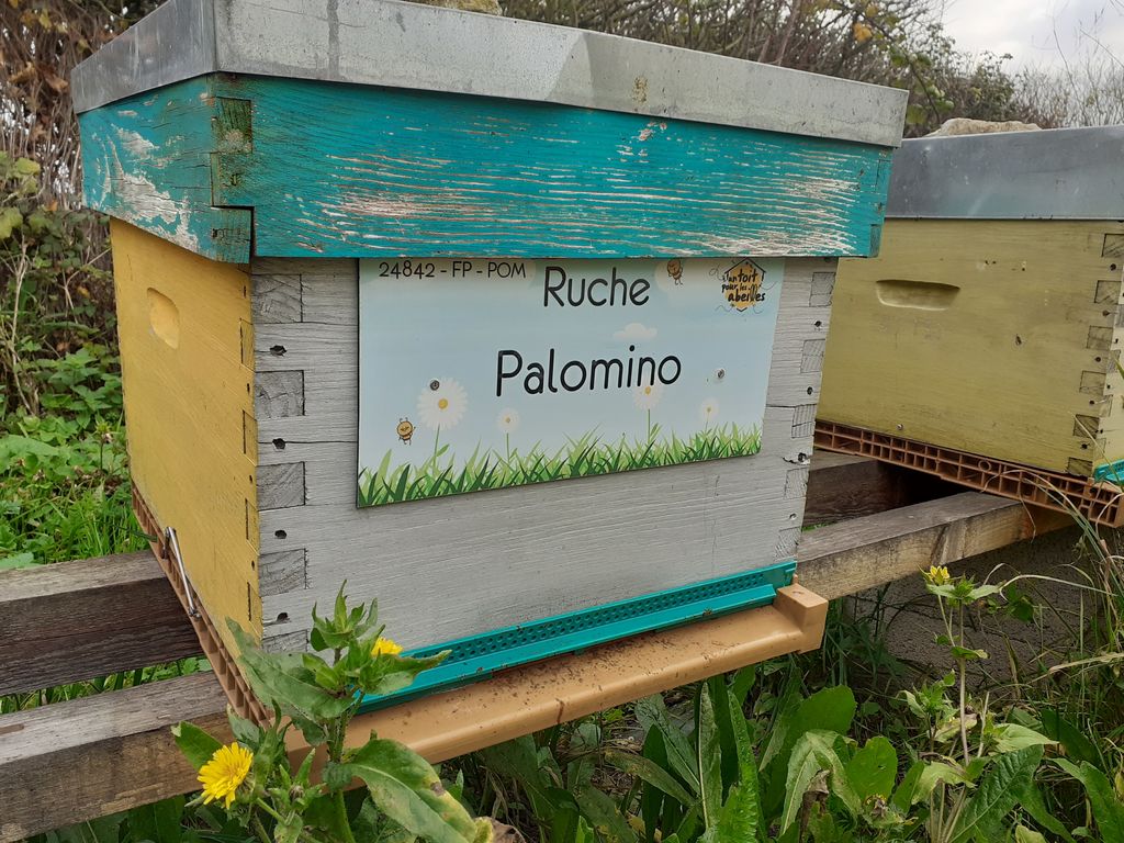 La ruche Palomino