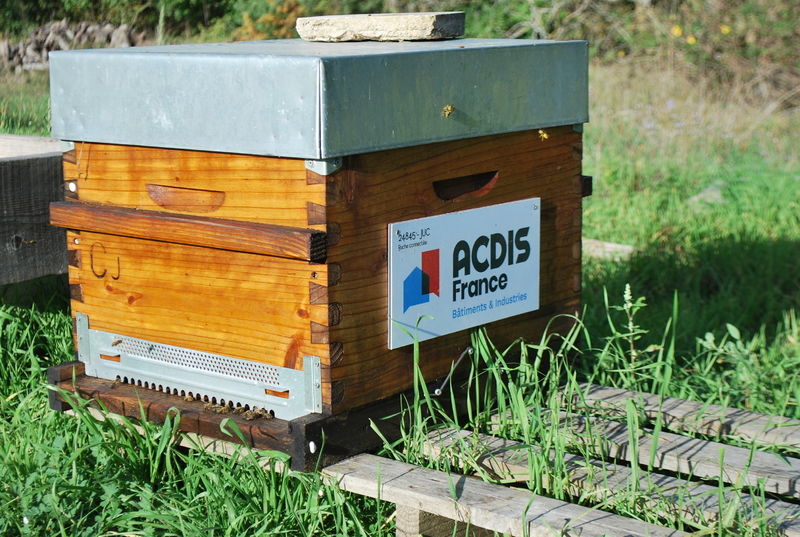 La ruche ACDIS France