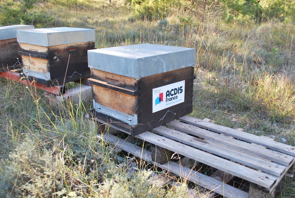 La ruche ACDIS France