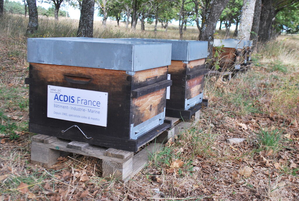 La ruche ACDIS France