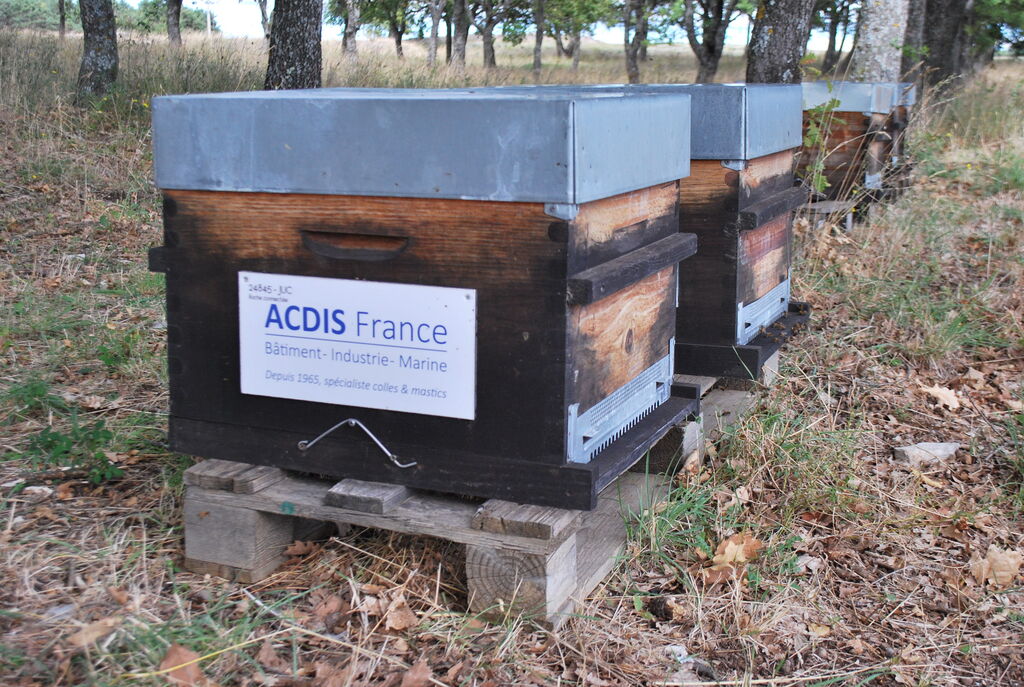 La ruche ACDIS France