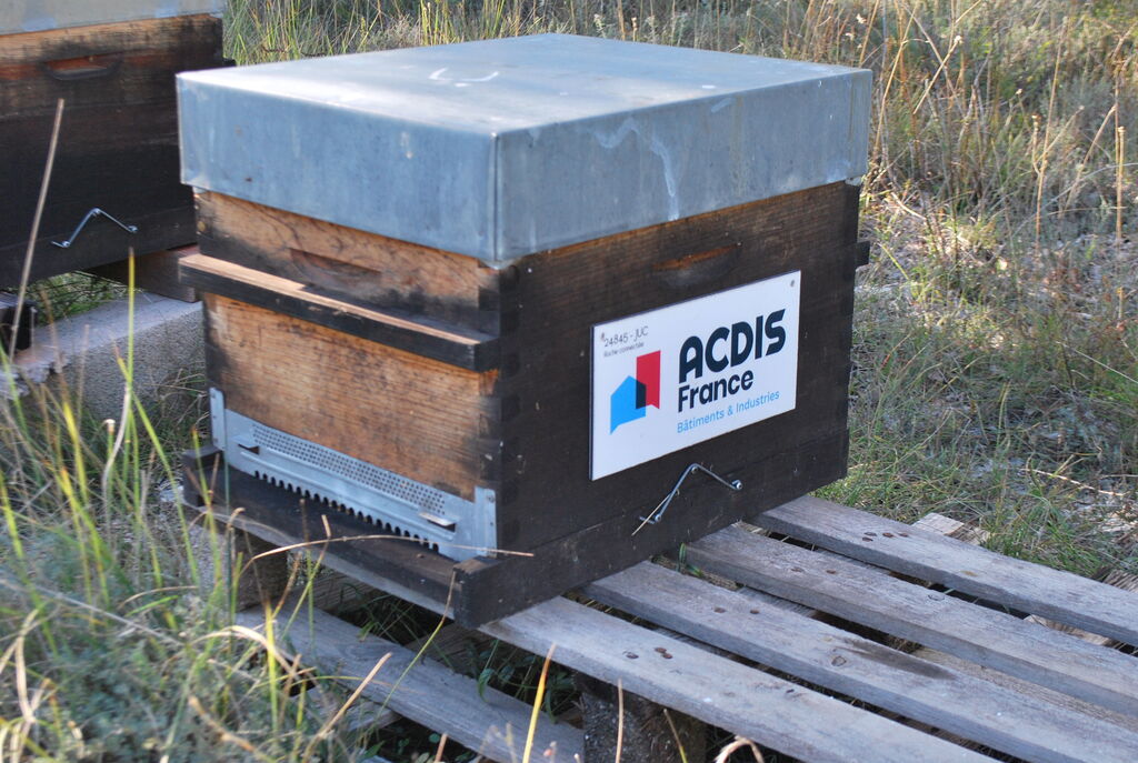 La ruche ACDIS France