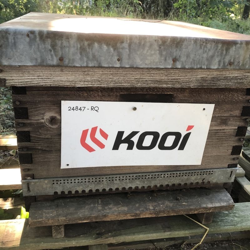 La ruche Kooi security