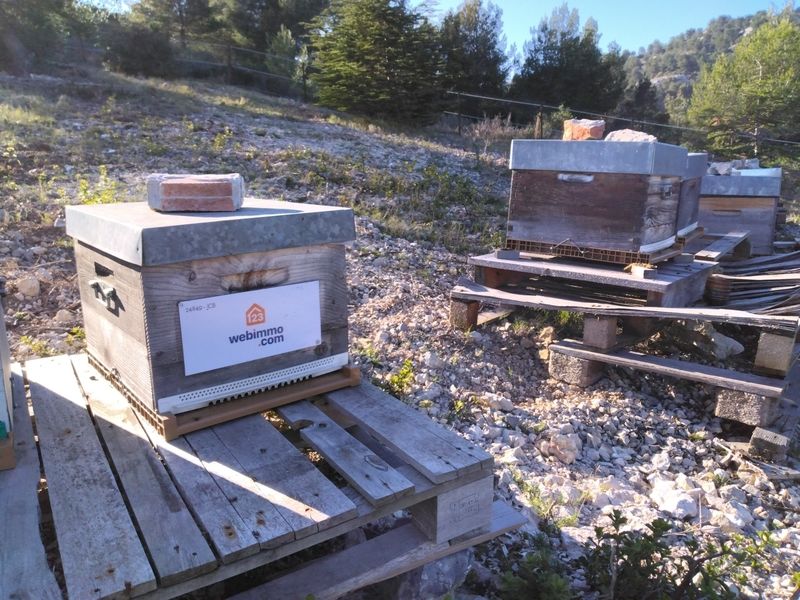 La ruche 123webimmo Sainte-Maxime