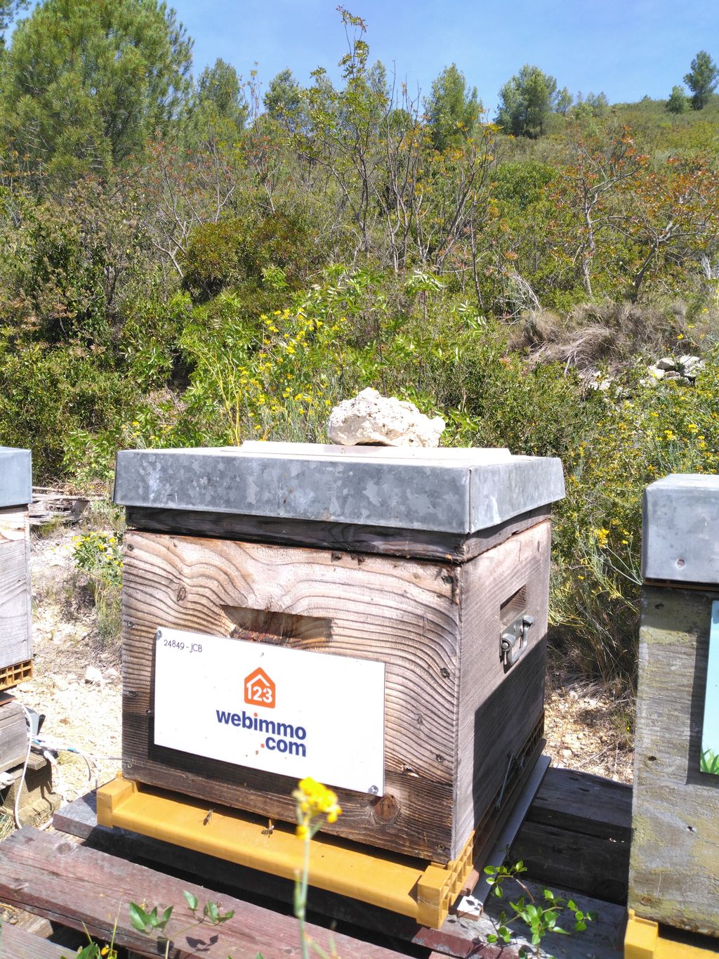 La ruche 123webimmo Sainte-Maxime