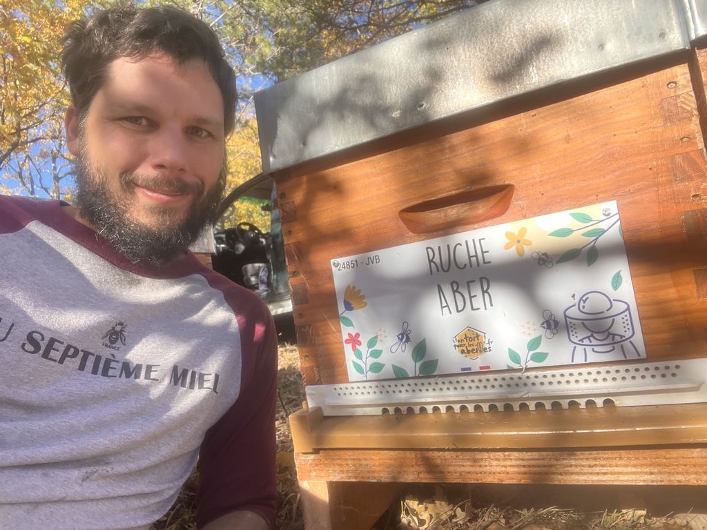 La ruche Aber