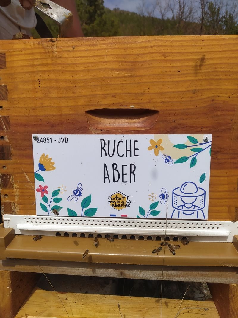 La ruche Aber