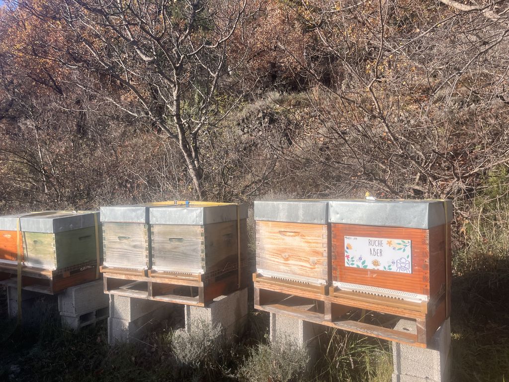 La ruche Aber