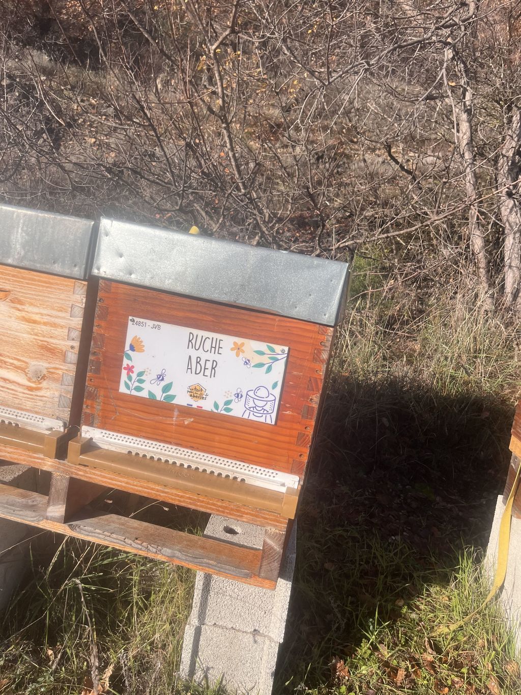 La ruche Aber