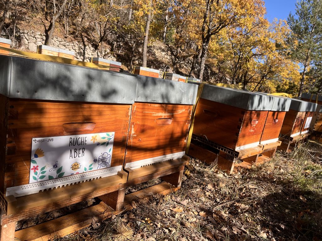 La ruche Aber
