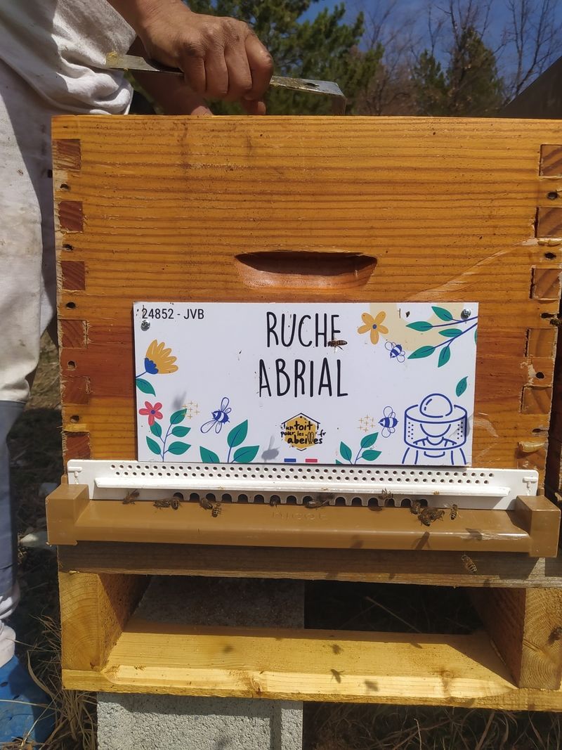 La ruche Abrial