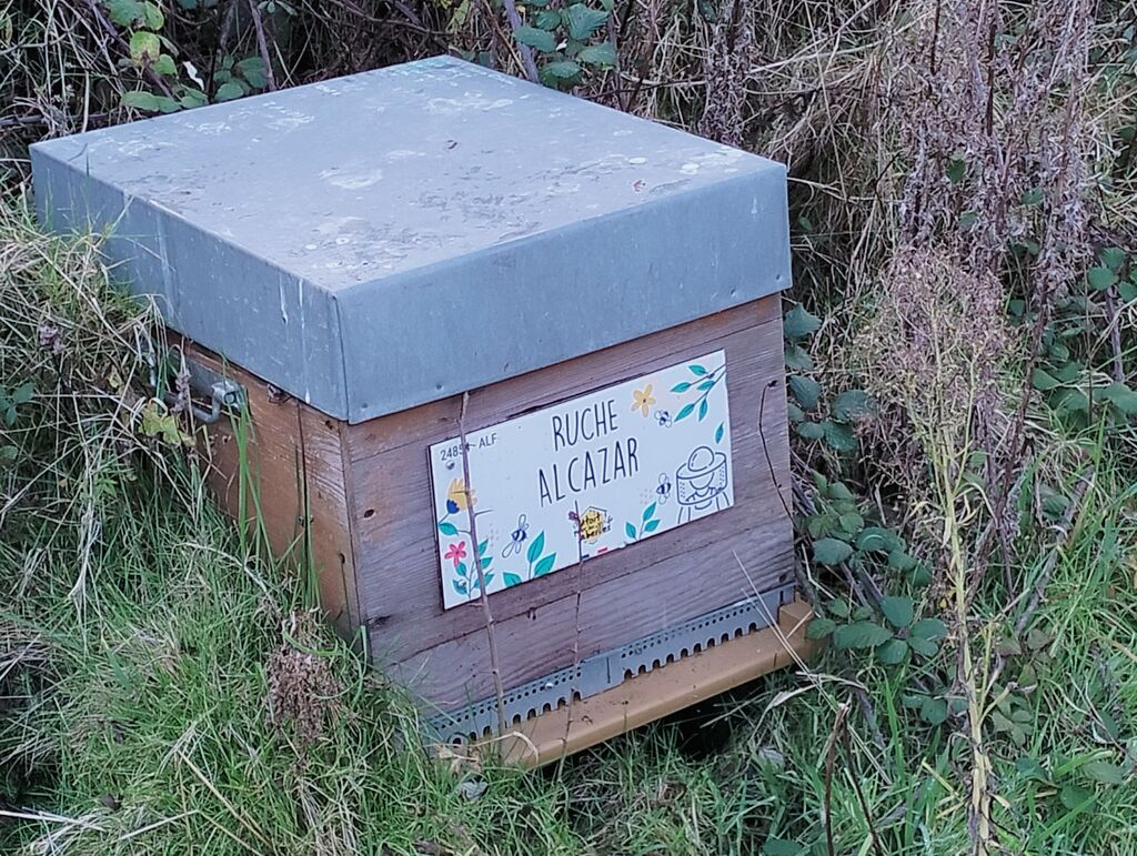 La ruche Alcazar