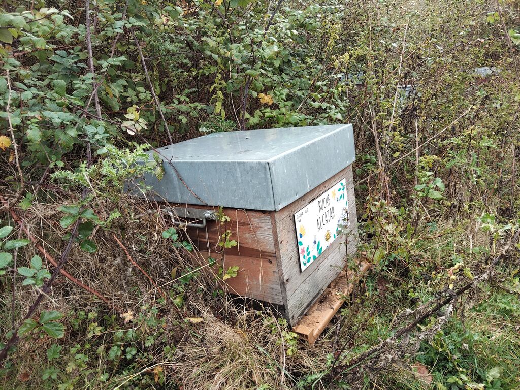 La ruche Alcazar
