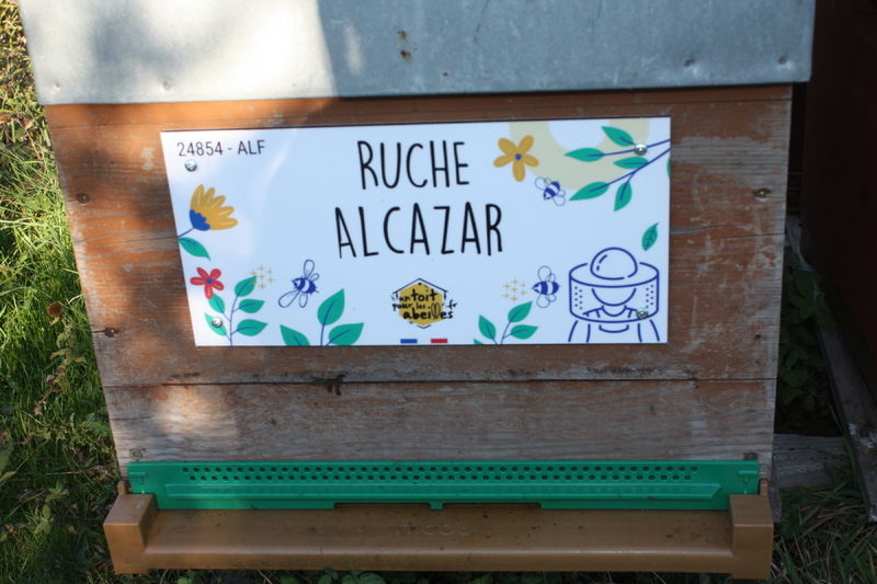 La ruche Alcazar