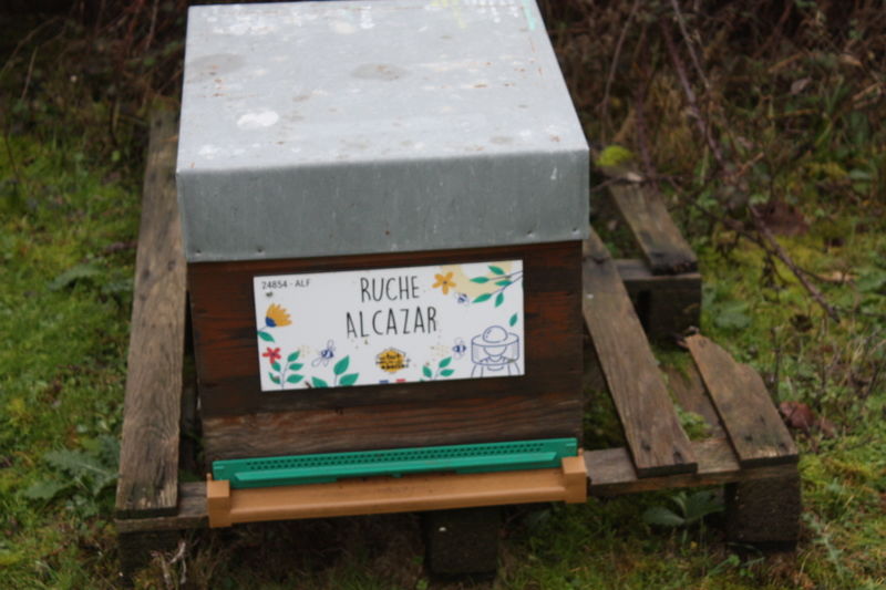 La ruche Alcazar