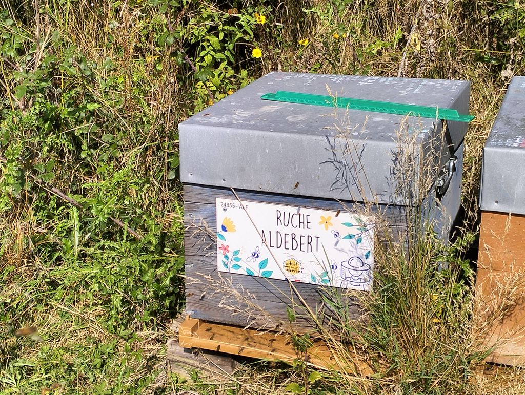 La ruche Aldebert