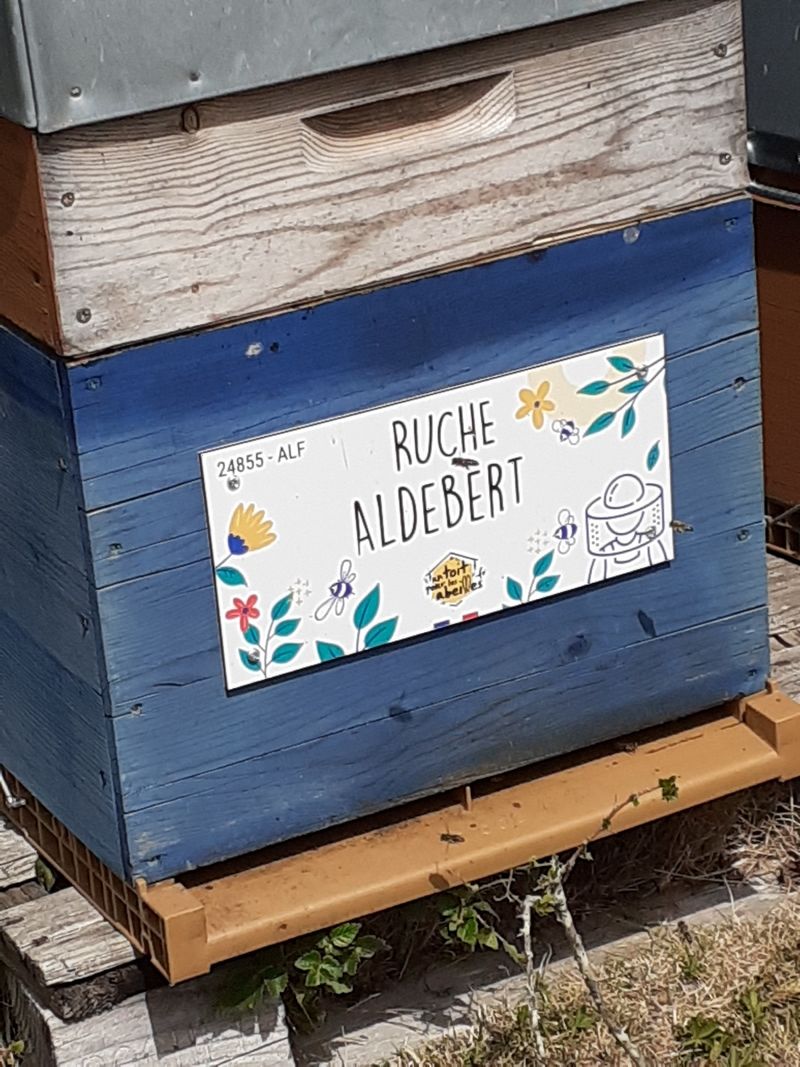 La ruche Aldebert