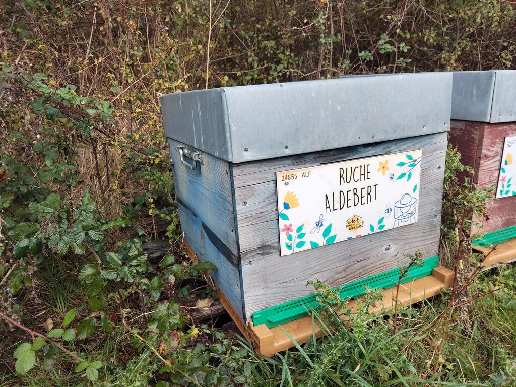 La ruche Aldebert