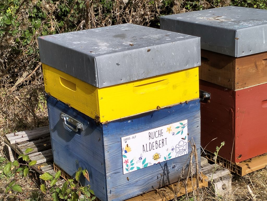 La ruche Aldebert