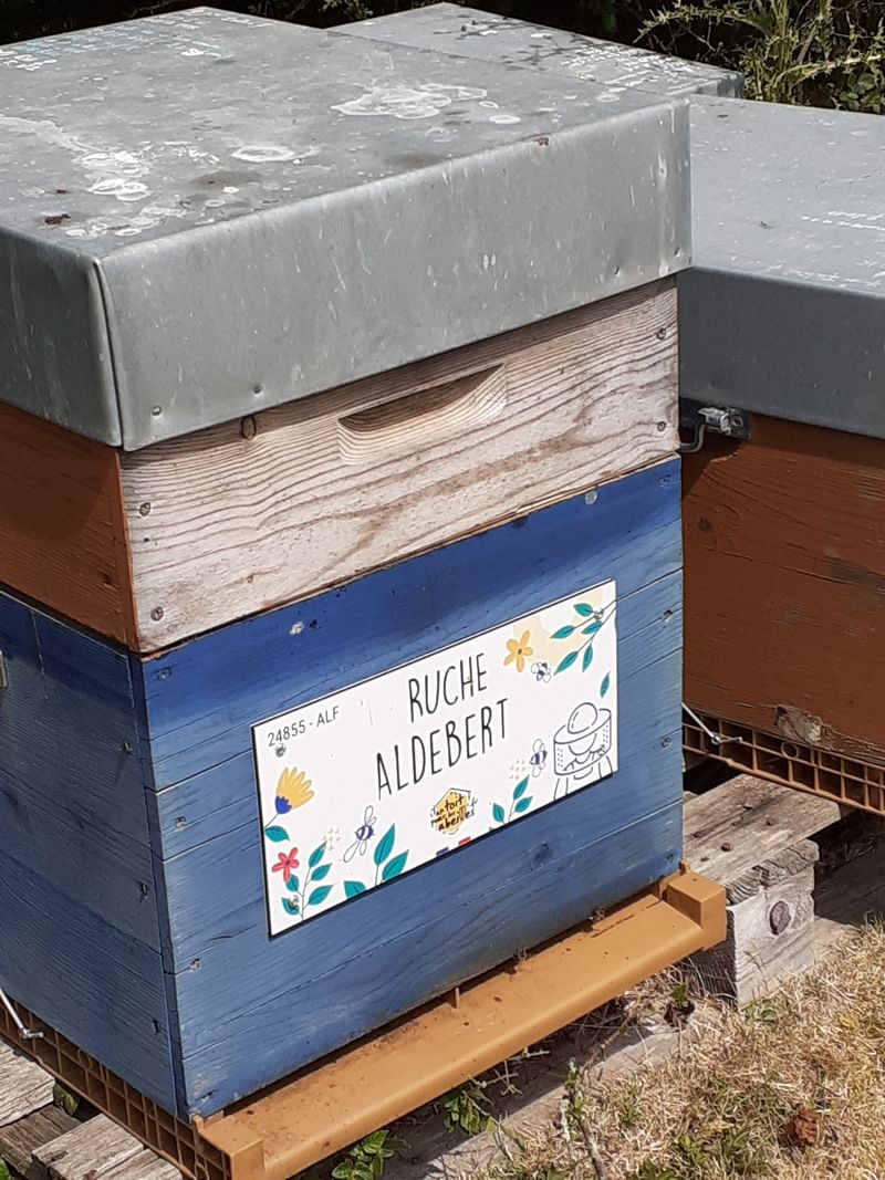 La ruche Aldebert