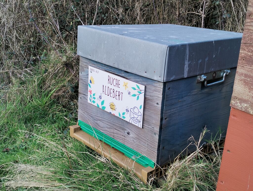 La ruche Aldebert