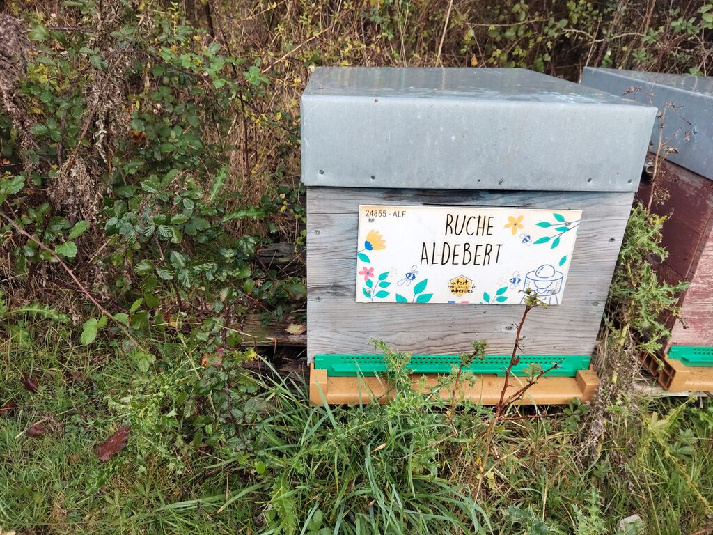 La ruche Aldebert