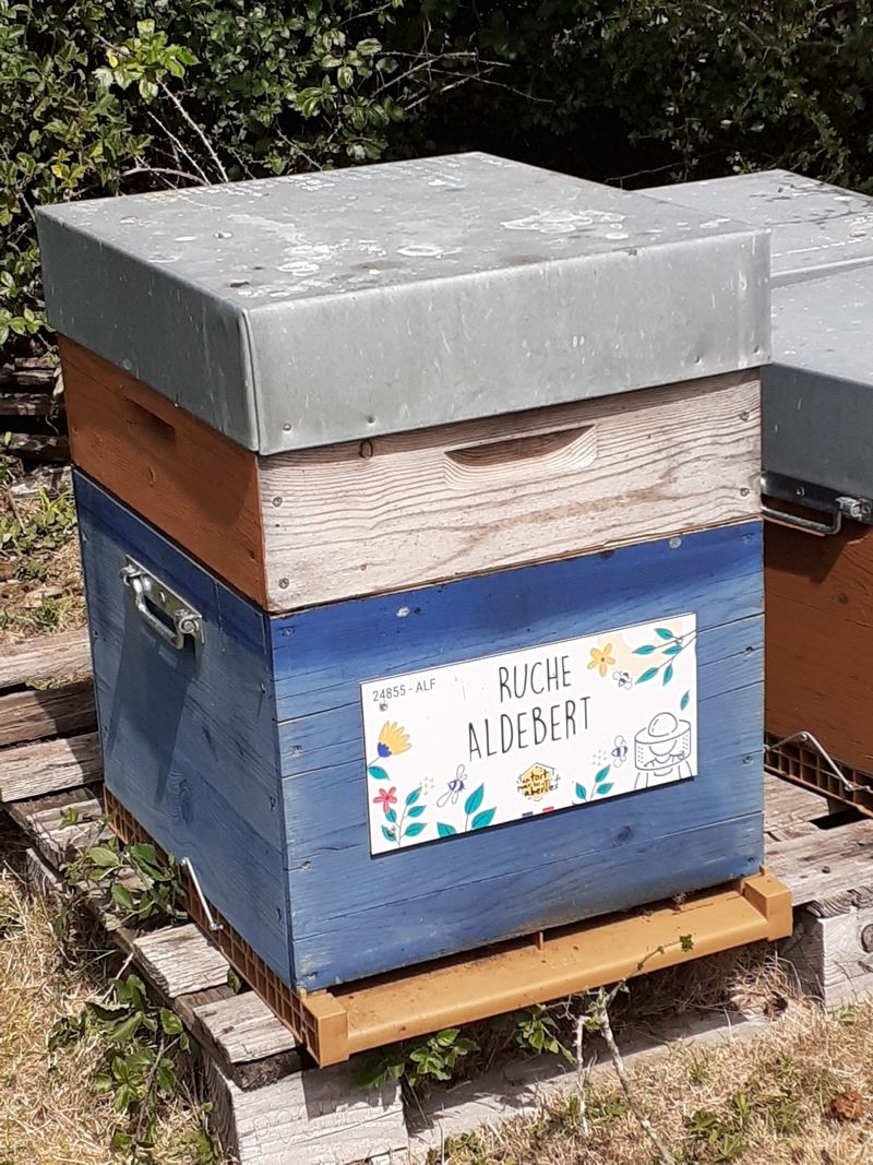La ruche Aldebert