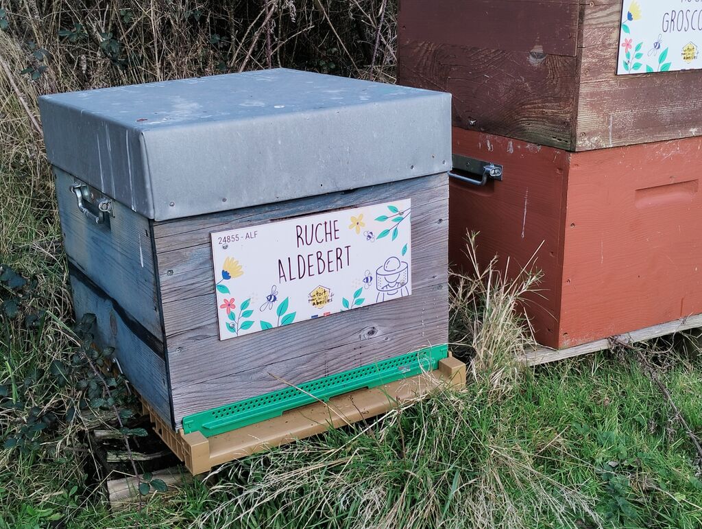 La ruche Aldebert