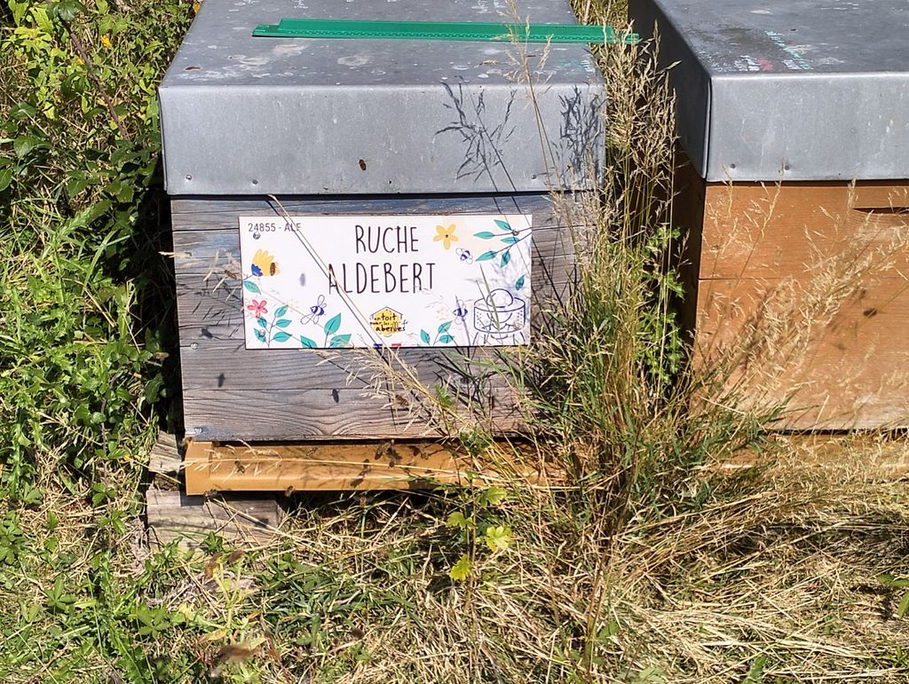 La ruche Aldebert