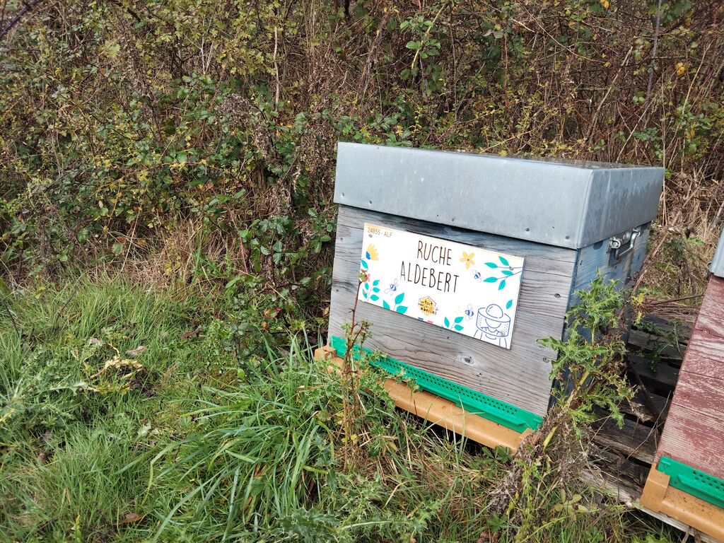 La ruche Aldebert