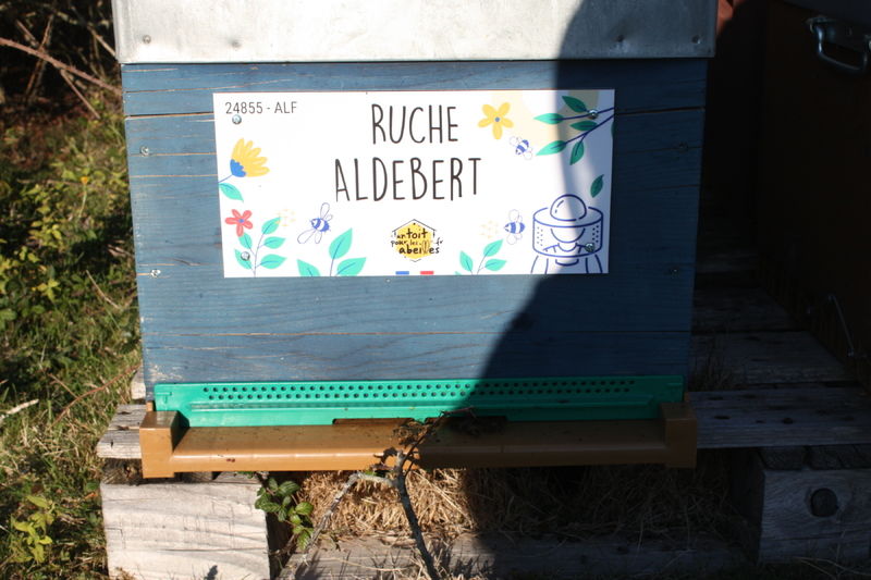La ruche Aldebert 