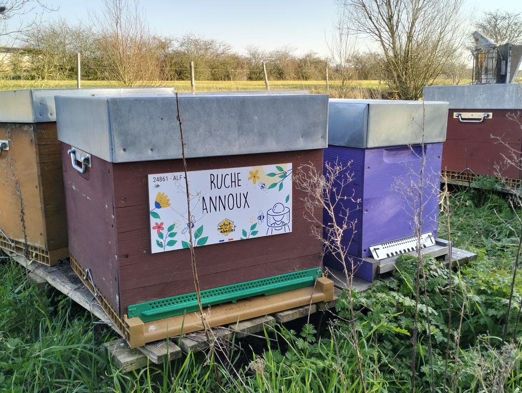 La ruche Annoux