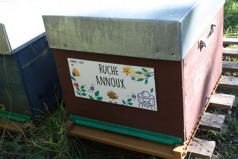 La ruche Annoux