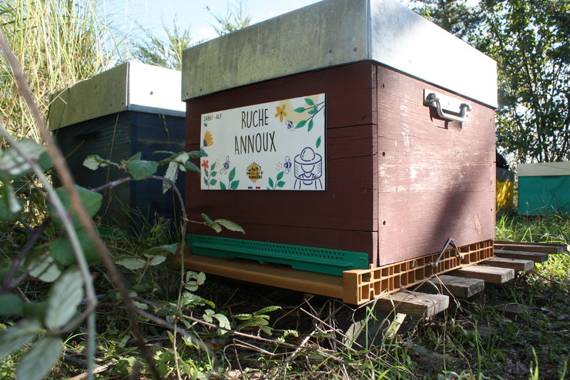La ruche Annoux
