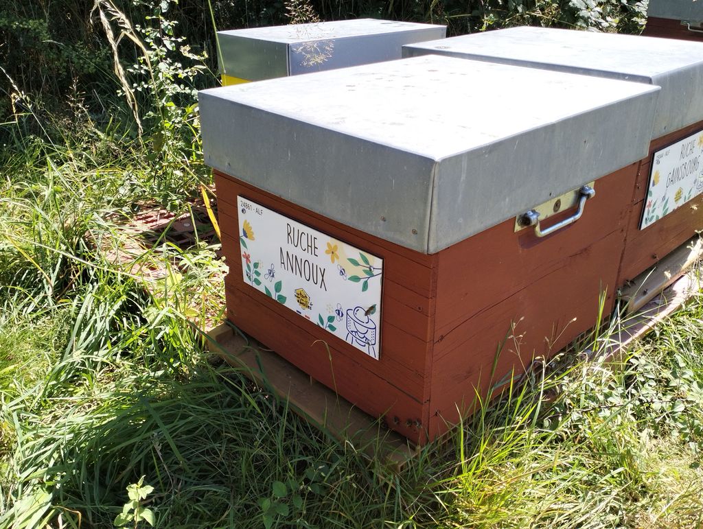 La ruche Annoux