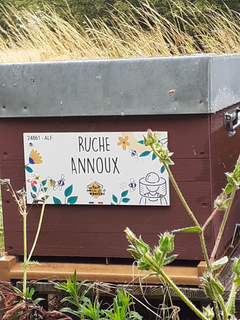 La ruche Annoux